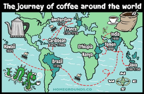 coffee beans journey